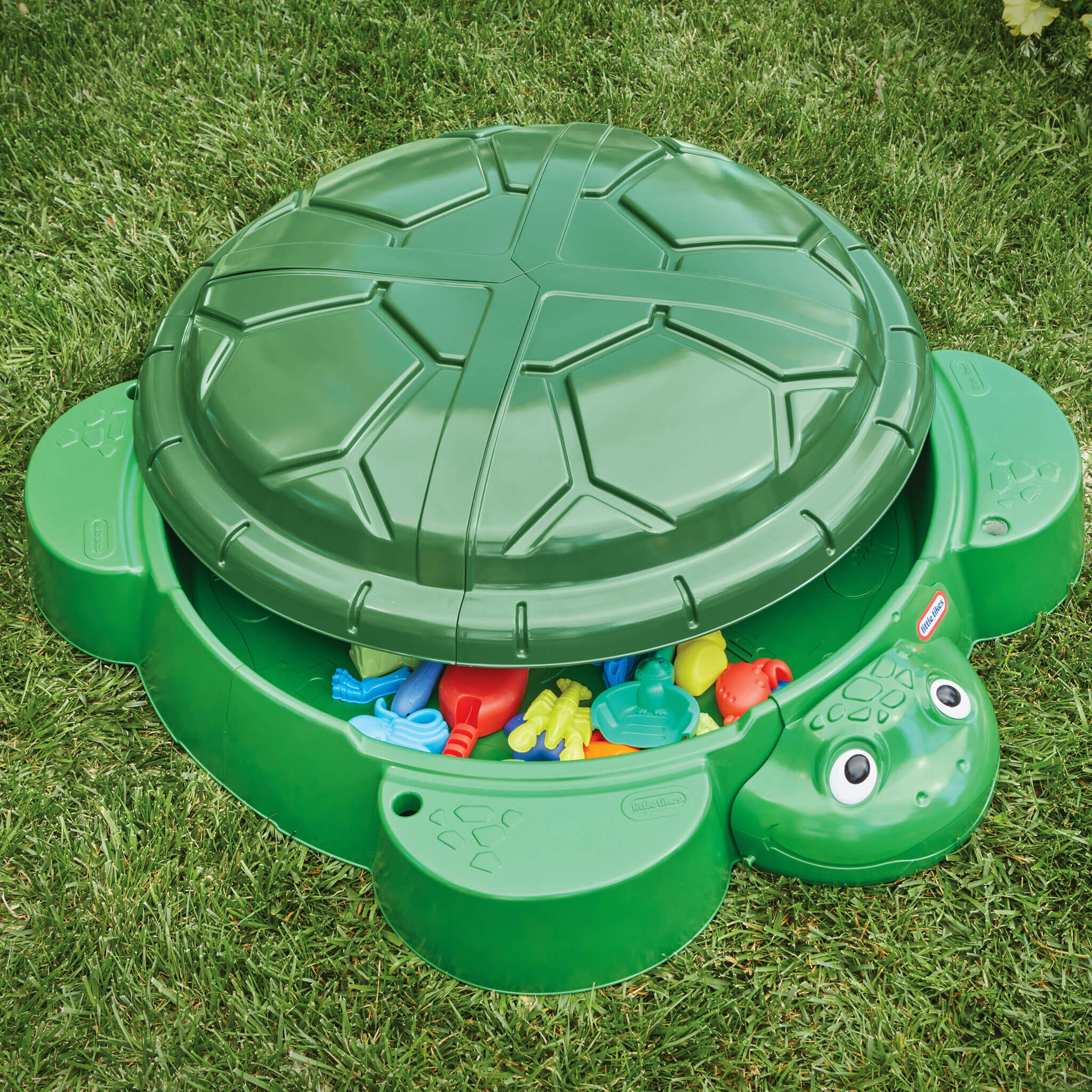 Turtle Sandbox - Image 3